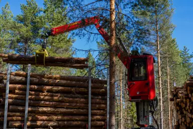 Żuraw leśny LOGLIFT i kabina PANORAMA – supernowoczesne rozwiązania Hiab dla branży leśnej
